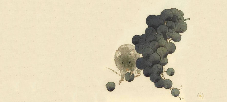 Watanabe Shōtei aka Watanabe Seitei (Japanese 1851–1918) Mouse and Grapes, approx. 1910