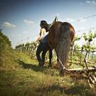 pressebilder_respekt