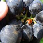 pressebilder_respekt