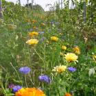 pressebilder_respekt