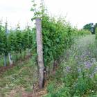 pressebilder_respekt