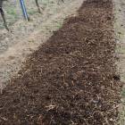 pressebilder_respekt