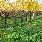 pressebilder_respekt