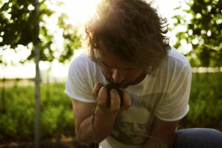 Biodynamiker Herbert Zillinger beschnuppert seine Erde