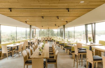 Der Weingarten - Buschenschank Pernersdorf aus der Innensicht