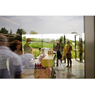 pa_weingarten.rocks2