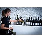 pa_altenburger_am-punkt2