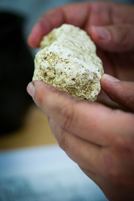 Kalk vom Gritschenberg