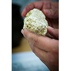 pa_altenburger_am-punkt2