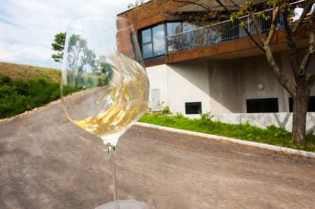 Das neue Weingut von unten
