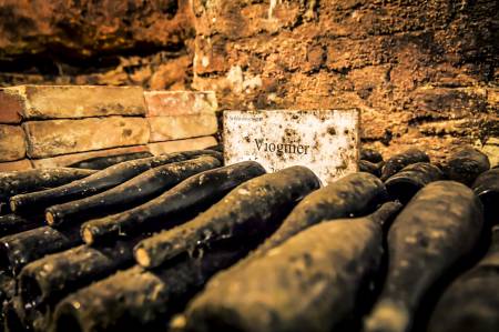 Gereifte Jahrgänge Viognier im Gutskeller Hardegg