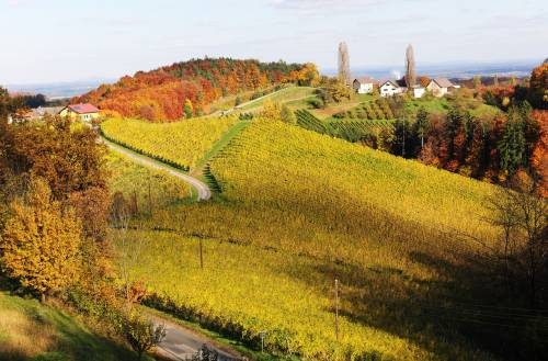 Die herbstliche Ried Kranachberg