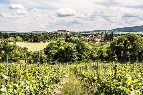 In der Monopollage Steinbuegel mit Blick auf Schloss Seefeld-