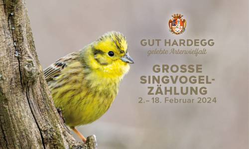 Vogelzählung Gut Hardegg 2024