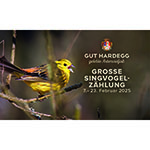pa_gut-hardegg_vogelzählung_2025