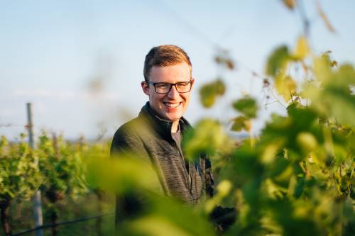 Matthias Reckendorfer im Weingarten