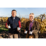 pa_weingut-graf-hardegg_topauszeichnung