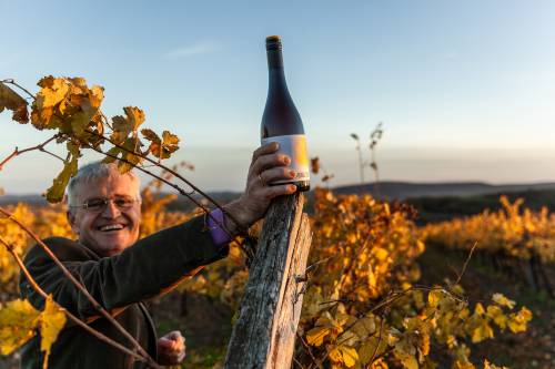 Weingutsleiter Andreas Gruber mit dem neuen Embrizzo im Weingarten