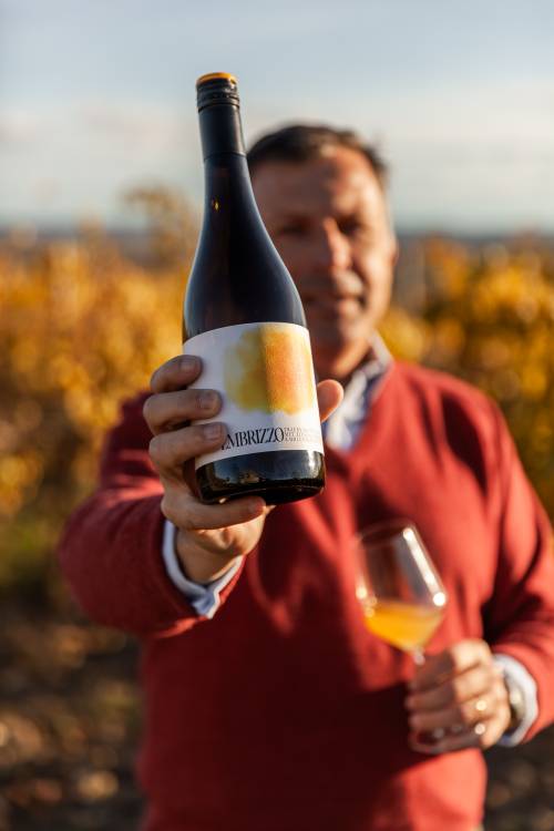 Maximilian Hardegg mit dem neuen Embrizzo im Weingarten