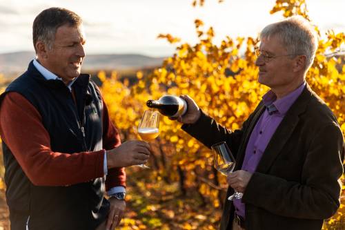 Maximilian Hardegg und Weingutsleiter Andreas Gruber mit dem neuen Embrizzo im Weingarten