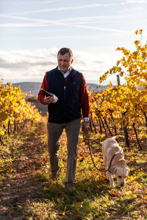 Maximilian Hardegg mit dem neuen Embrizzo im Weingarten