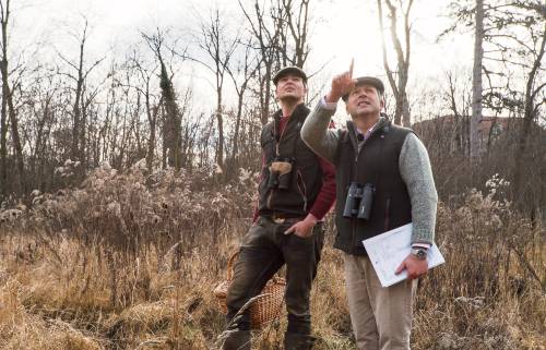 alexius_maximilian-hardegg2_by_f.smetana