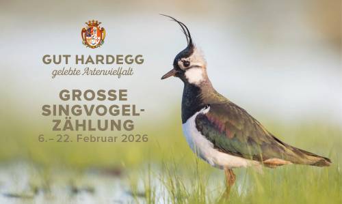 Gut Hardegg Vogelz&auml;hlung 2026