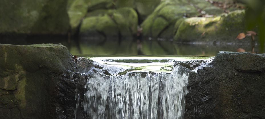 A spring in mossy stones