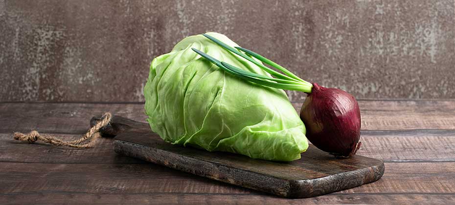 Pointed cabbage and red onion on a chopping board