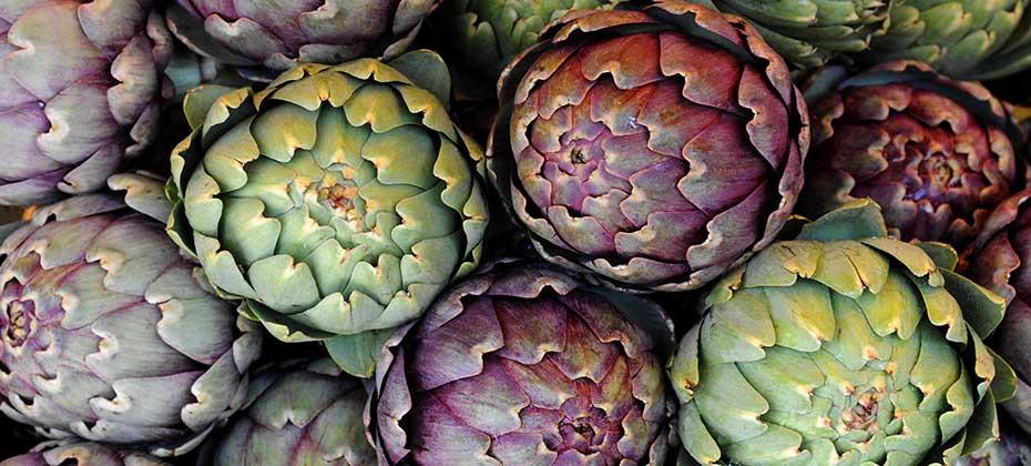 Varied artichokes